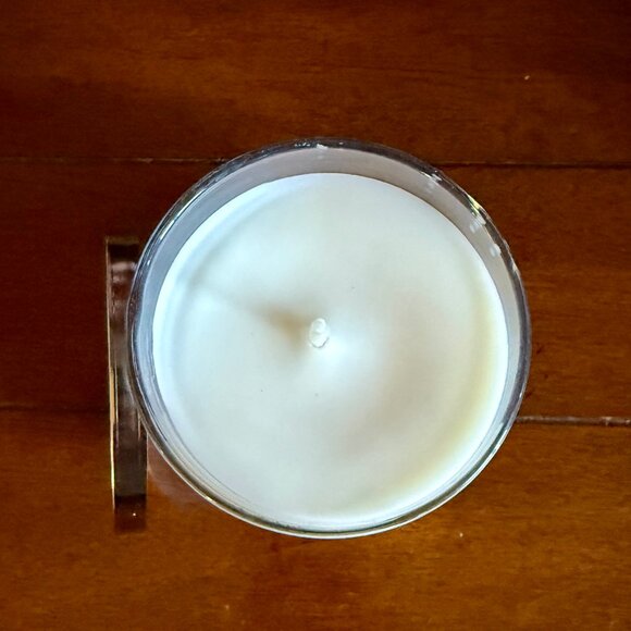 NEW EUCALYPTUS SNOWFALL 8oz Single Wick Candle Bath & Body Works - Picture 2 of 3